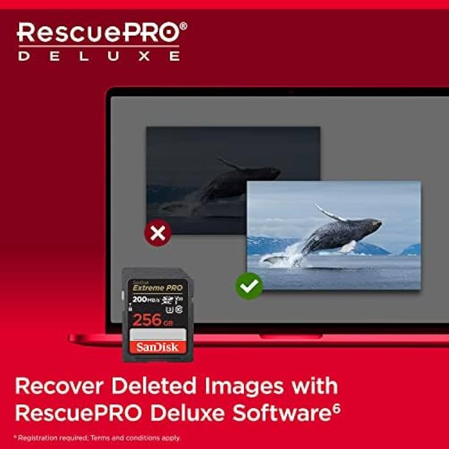 ■サンディスク　SDSDXXD-256G-GN4IN [256GB] SanDisk サンディスク SDSDXXD-256G-GN4IN 並行輸入品 SDXC